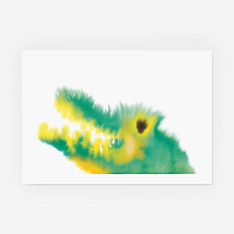 Crocodile
